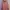 Casual Fleece Pria pink photo 4
