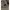 Fendi Luxury Midi dress Wanita tan photo 3