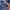 diesel jaring streetwear not dogtown fubu rocawear jnco  photo 5