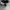 Vans knu black white photo 4
