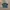 Vintage Y2K Pria green photo 1