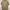 BURBERRYS NOVA SHORT SLEEVE SHIRT SECOND THRIFT (size besar) photo 1