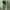 Billabong Tricolors Spell Out Logo Y2K Cargo Board Shorts photo 4