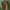 Billabong Tricolors Spell Out Logo Y2K Cargo Board Shorts photo 5