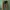 Billabong Tricolors Spell Out Logo Y2K Cargo Board Shorts photo 3
