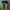 Billabong Tricolors Spell Out Logo Y2K Cargo Board Shorts photo 2