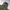 Cargo pants ijo army photo 2