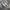 Adidas Spezial premium photo 2