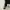 H&M Emo Indie Crop top Wanita white black photo 5