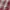 Vintage Y2K Pria white red photo 4