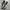 Vans Slip on Classic Chekboard photo 5