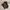 Japanese Brand Casual Minimalist Formal Pants Pria Brown