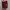 Sabrina red maroon photo 2