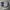 Adidas athen photo 1