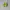 Salomon XT-6 Goretex Blue Acid Lime photo 5