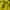Jersey BRAZIL vintage tag CUT photo 5