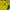 Jersey BRAZIL vintage tag CUT photo 2