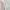 white fairy camisole with pink floral lace and ribbon photo 2