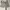 Sweatshort Grey Unbrand photo 1