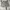 Sweatshort Grey Unbrand photo 3
