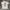 Whitney - Off Grid T-Shirt photo 1