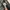 Baggy jeans by GLW black washing photo 4