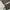 Carpenter Flex fire Hose canvas grey. photo 3