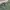 Military Cargo Pants Sage Green photo 7