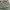 Military Cargo Pants Sage Green photo 6
