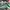 Nike SB dunk low Ori x Off White green 37 photo 1