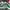 Nike SB Dunk Low Ori X Off White Green 37