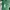 Nike SB dunk low Ori x Off White green 37 photo 4
