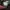 Adidas Ultra Boost Uncaged photo 6