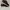Adidas Ultra Boost Uncaged photo 1