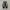 Converse One Star OX Suede Black White Original photo 5