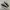 Converse One Star OX Suede Black White Original photo 1
