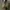 yeezy boost neon original  photo 2