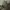 yeezy boost neon original  photo 4