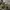 yeezy boost neon original  photo 5