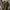 yeezy boost neon original  photo 6