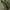 yeezy boost neon original  photo 1