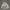 TSN Snowboard Outdoor Jacket (Gorpcore) photo 6