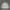 TSN Snowboard Outdoor Jacket (Gorpcore) photo 2