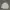 TSN Snowboard Outdoor Jacket (Gorpcore)