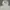 TSN Snowboard Outdoor Jacket (Gorpcore) photo 8