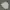 TSN Snowboard Outdoor Jacket (Gorpcore) photo 3