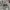 Dickies genuin pants khakis photo 4