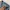 Y2K Casual Jeans Pria multicolor photo 5