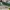 Mainan Anak Pedang Sword Space War Multifunctional  photo 5