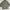 Uniqlo Y2K Parka Pria green photo 2